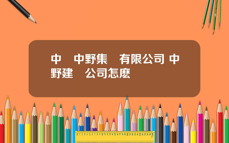 中國中野集團有限公司 中野建築公司怎麽樣